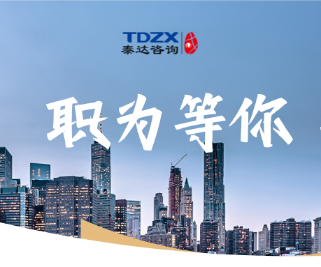 人工智能咨詢(xún)項(xiàng)目負(fù)責(zé)人